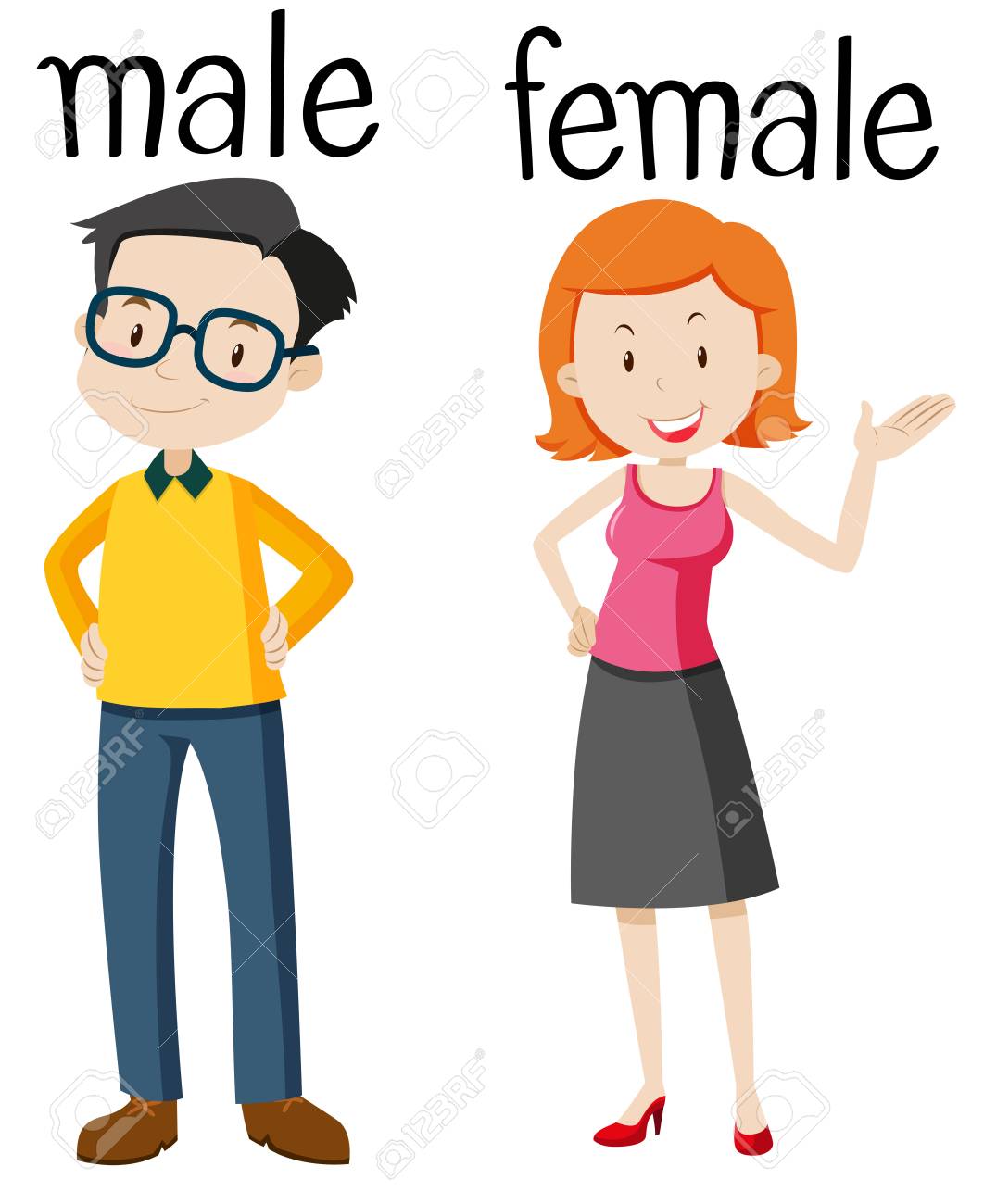 Opposite wordcard for male and female
